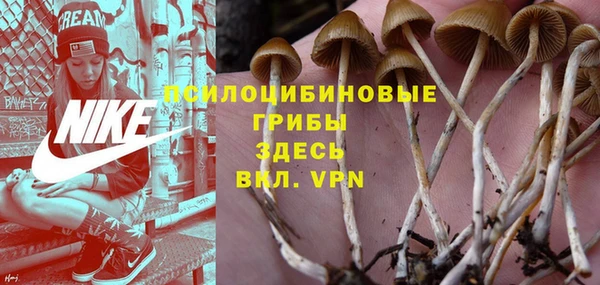 a pvp Алексин