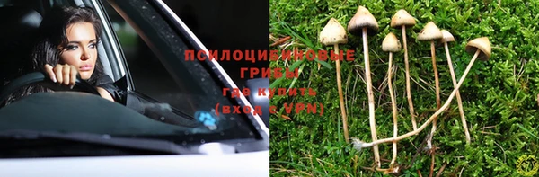 a pvp Алексин