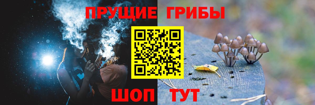 Галлюциногенные грибы прущие грибы Курчалой