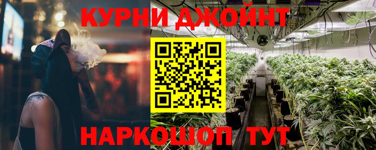 Канабис планчик  Вход с VPN  Курчалой  Каннабис семена  Марихуана семена 